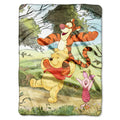 60x80 Winnie the Pooh Blanket