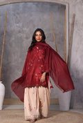 Ak by Amna Khan - Chilli Three Piece Cambric