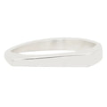 Blade Slice Ring