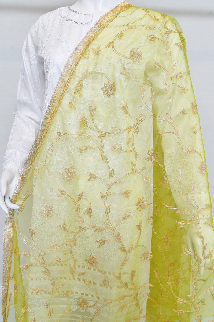 Dupatta - 032622171