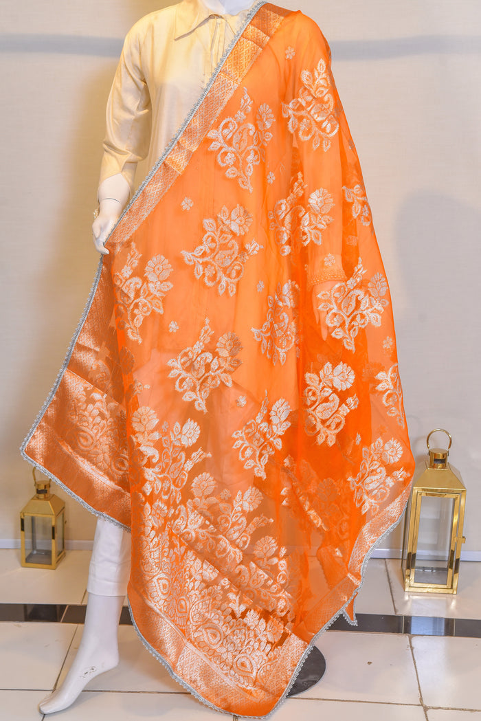 Dupatta - 03262247
