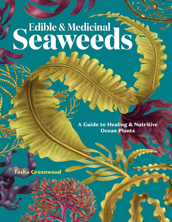 Edible & Medicinal Seaweeds: A Guide to Healing & Nutritive Ocean Plants (Tasha Greenwood)