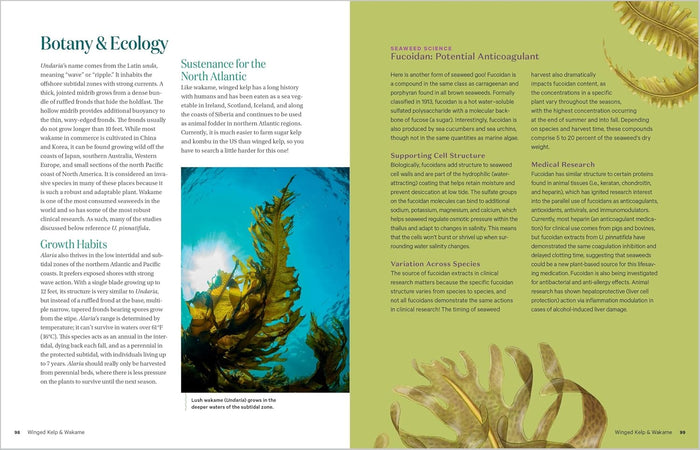 Edible & Medicinal Seaweeds: A Guide to Healing & Nutritive Ocean Plants (Tasha Greenwood)