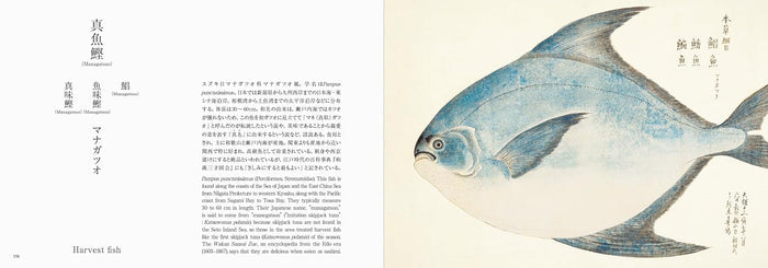 Fishes of Edo: A Guide to Classical Japanese Fishes (Kazuhiko Tajima)