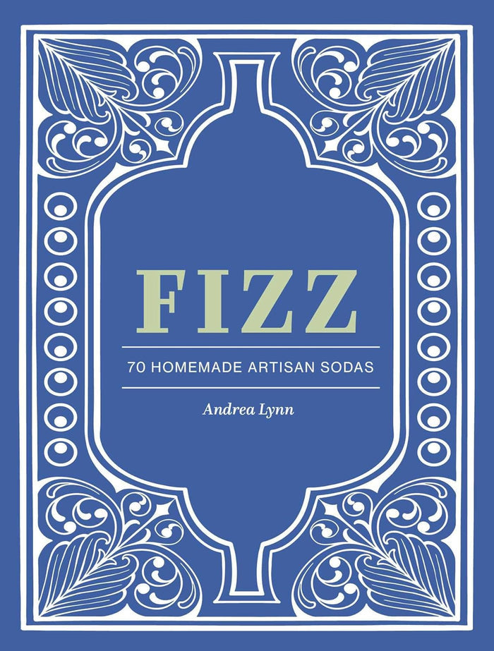Fizz: 70+ Homemade Artisan Sodas (Andrea Lynn)