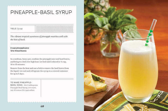Fizz: 70+ Homemade Artisan Sodas (Andrea Lynn)