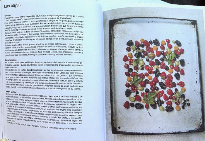 Helados en Argentina (Guido Tassi)