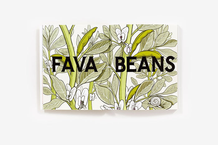 Homegrown: Illustrated Bites from Your Garden to Your Table (Heather Hardison)