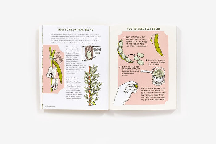 Homegrown: Illustrated Bites from Your Garden to Your Table (Heather Hardison)