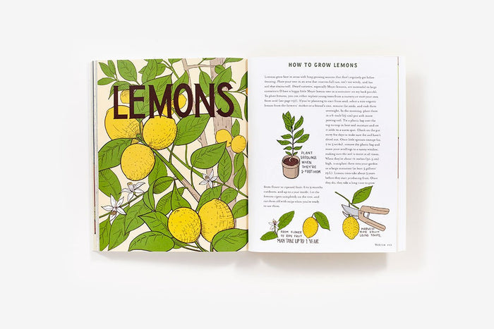 Homegrown: Illustrated Bites from Your Garden to Your Table (Heather Hardison)