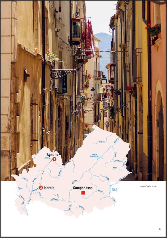 Italia con gusto e amore: Road Trip to the Roots of Italian cuisine (Annette Canini Daems)