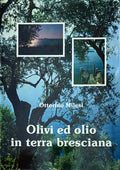 (Italian - Olives) Ottorino Milesi. Olivi ed Olio in Terra Bresciana