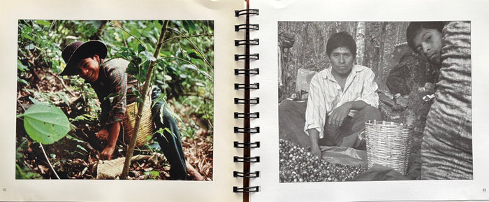 (Mexican) Yolanda Cruz. Oaxaca: Sabores Simples. *Signed*