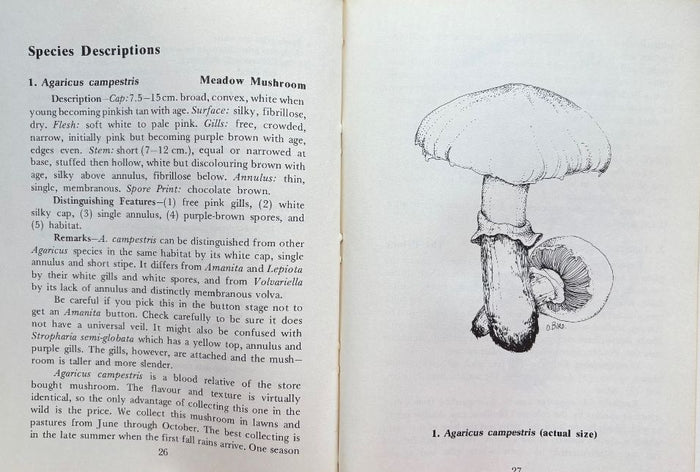 (Mushrooms) Karen & Richard Haard. Foraging for Edible Wild Mushrooms