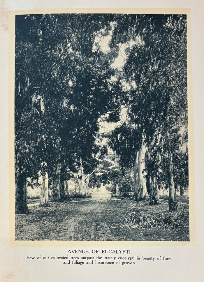 (*NEW ARRIVAL*) (California - Gardening) Belle Sumner Angier. The Garden Book of California