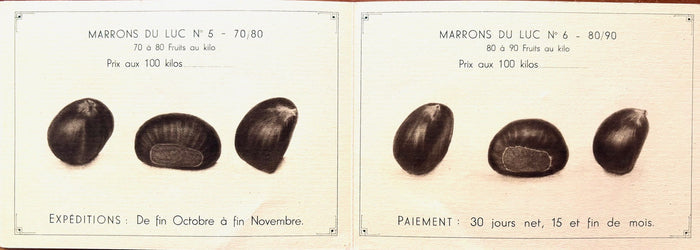 (*NEW ARRIVAL*) (Chestnuts) Maison Courtes Cesar. Marrons du Luc