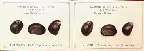 (*NEW ARRIVAL*) (Chestnuts) Maison Courtes Cesar. Marrons du Luc