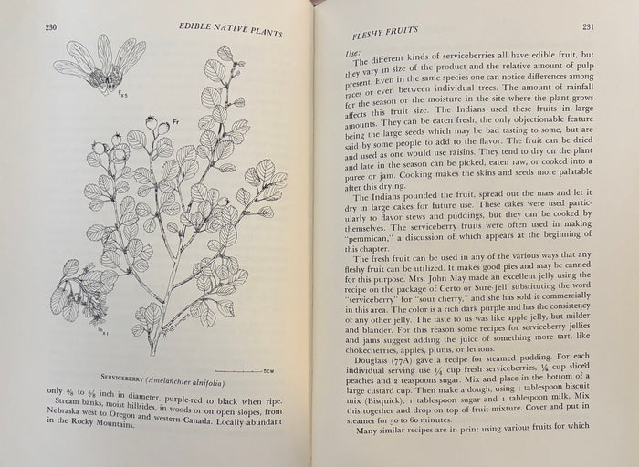 (*NEW ARRIVAL*) (Foraging) H.D. Harrington. Edible Native Plants of the Rocky Mountains