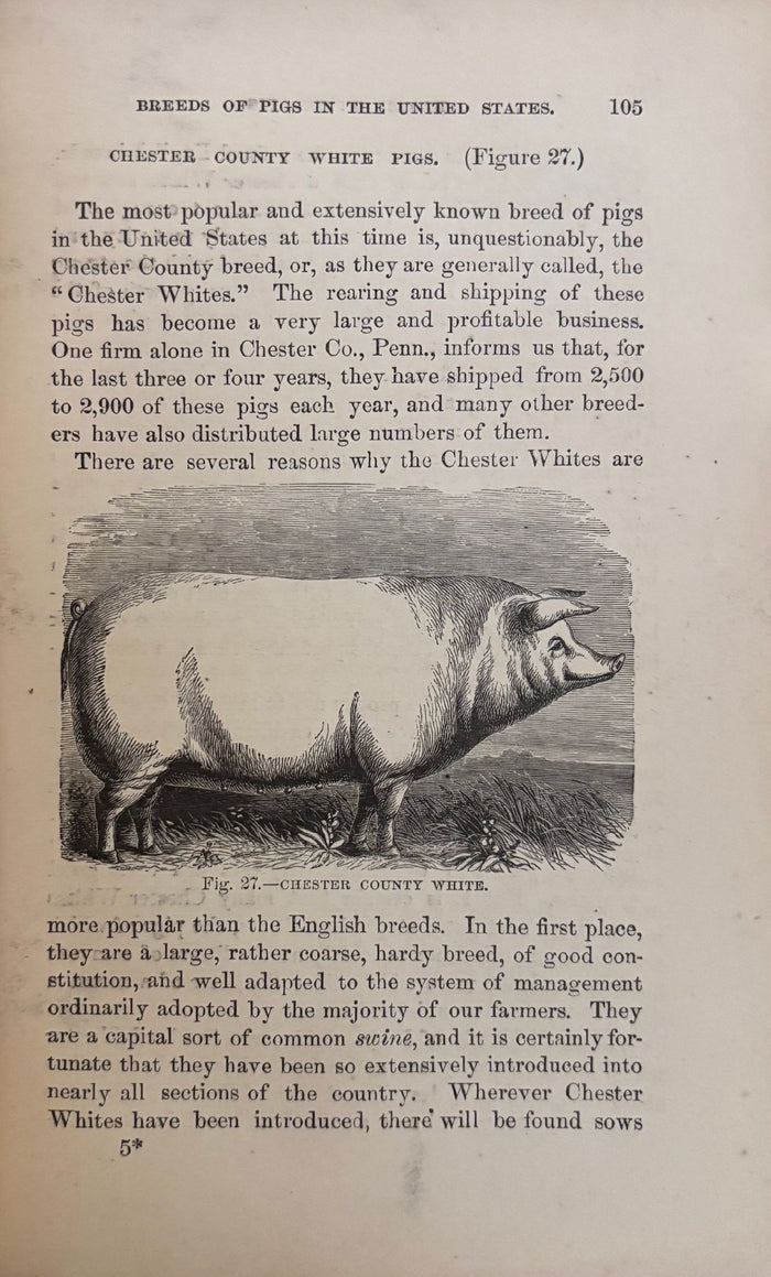 (*NEW ARRIVAL*) (Pork) Joseph Harris. Harris on the Pig: Breeding, Rearing, Management, and Improvement