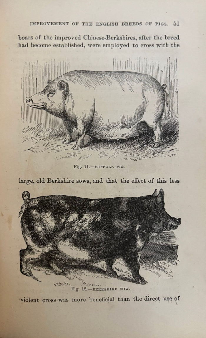 (*NEW ARRIVAL*) (Pork) Joseph Harris. Harris on the Pig: Breeding, Rearing, Management, and Improvement