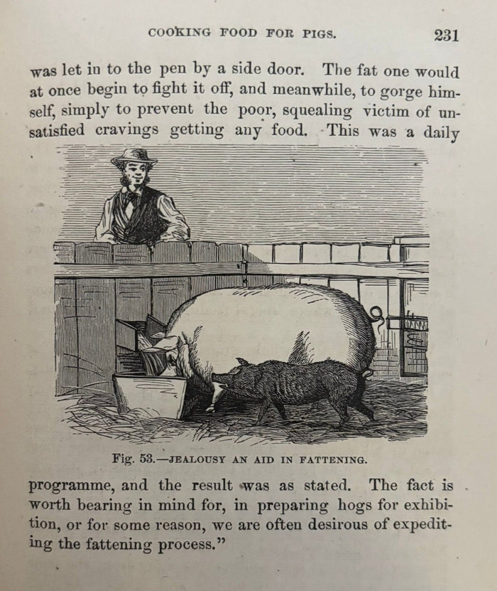(*NEW ARRIVAL*) (Pork) Joseph Harris. Harris on the Pig: Breeding, Rearing, Management, and Improvement