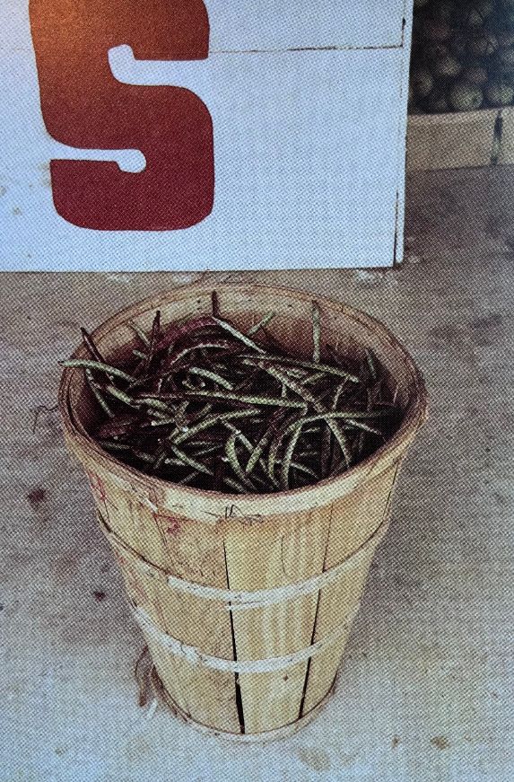 (*NEW ARRIVAL*) (Southern) Ernest Matthew Mickler. White Trash Cooking