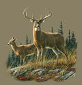 Plush Queen Size Deer Blanket - Extremely Soft - Machine Washable - Autumn Whitetails