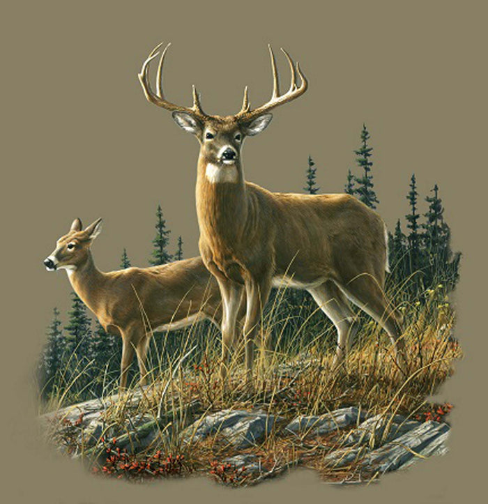 Plush Queen Size Deer Blanket - Extremely Soft - Machine Washable - Autumn Whitetails