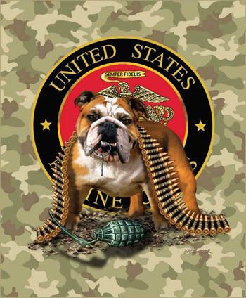 Plush Queen Size Dog Blanket - Extremely Soft - Machine Washable - Marine Bulldog Camo