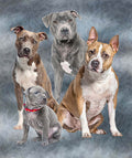 Plush Queen Size Dog Blanket - Extremely Soft - Machine Washable - Pitbull Club