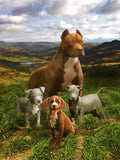 Plush Queen Size Dog Blanket - Extremely Soft - Machine Washable - Pitbull Family