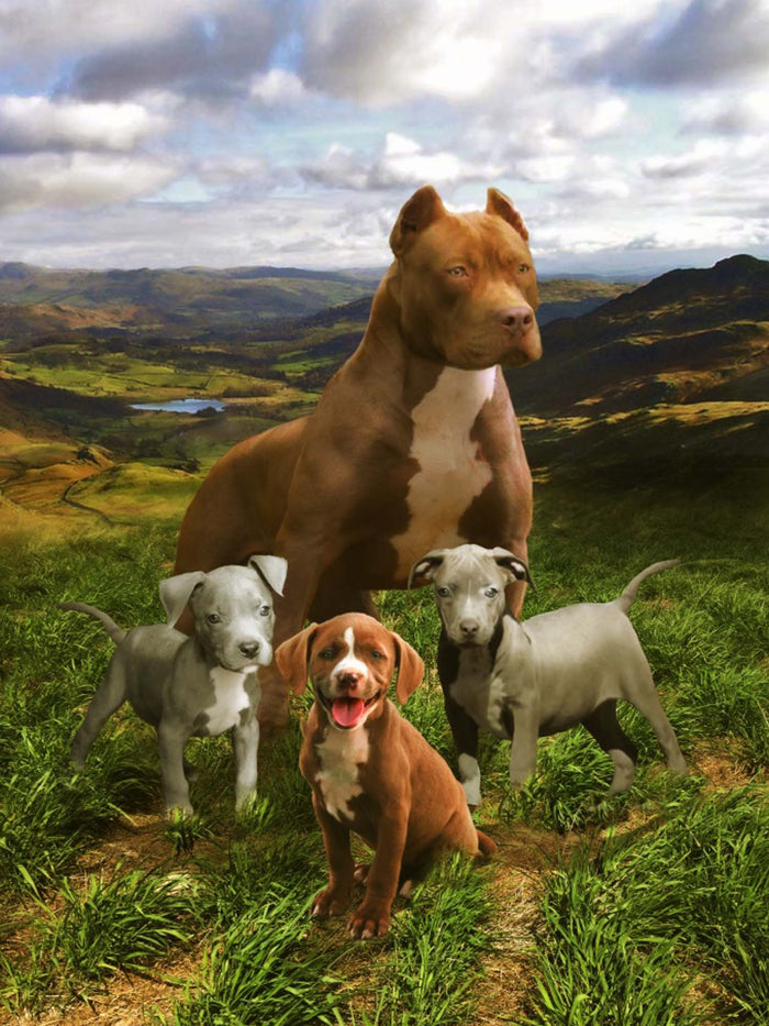 Plush Queen Size Dog Blanket - Extremely Soft - Machine Washable - Pitbull Family