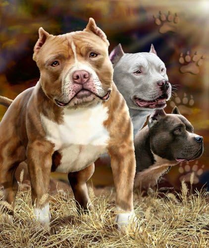 Plush Queen Size Dog Blanket - Extremely Soft - Machine Washable - Pitbull