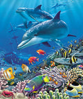 Plush Queen Size Dolphin & Fish Blanket - Extremely Soft - Machine Washable - Shipwreck