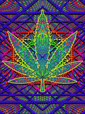 Plush Queen Size Marijuana Blanket - Extremely Soft - Machine Washable - Sacred Leaf