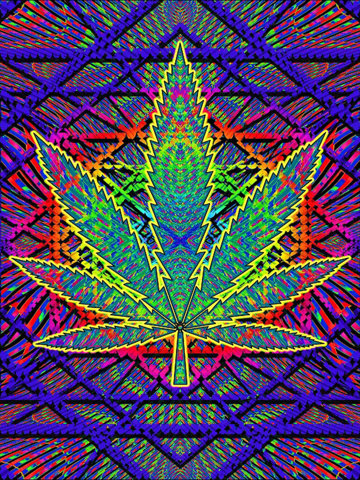 Plush Queen Size Marijuana Blanket - Extremely Soft - Machine Washable - Sacred Leaf