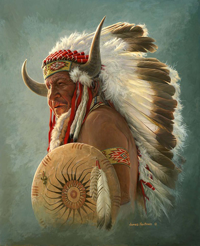 Plush Queen Size Native American Blanket - Extremely Soft - Machine Washable - Indian Portrait