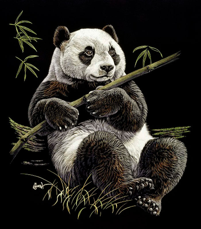 Plush Queen Size Panda Blanket - Extremely Soft - Machine Washable - Panda