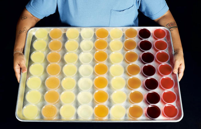 Solid Wiggles: Recipes and Techniques for Phenomenal Jelly Shots and Cakes (Jena Derman, Jack Schramm)