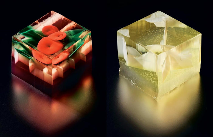 Solid Wiggles: Recipes and Techniques for Phenomenal Jelly Shots and Cakes (Jena Derman, Jack Schramm)