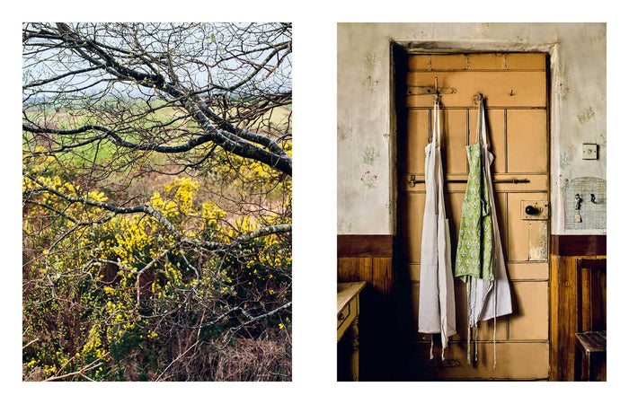The Irish Kitchen (Cherie Denham, Andrew Montgomery)